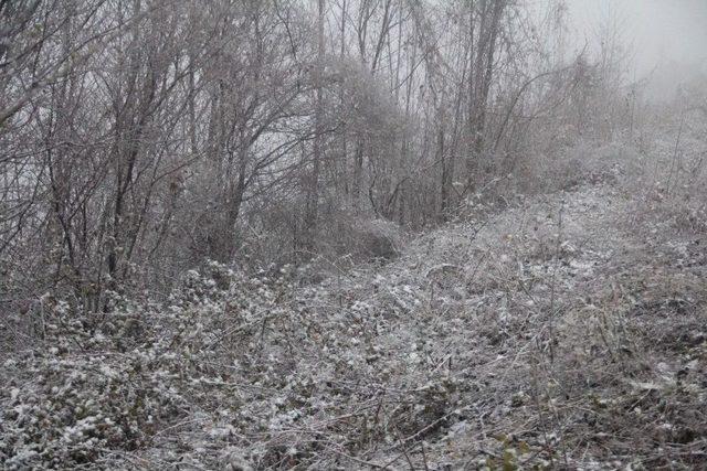 Bolu Dağı’nda Yoğun Sis Ulaşımı Olumsuz Etkiledi