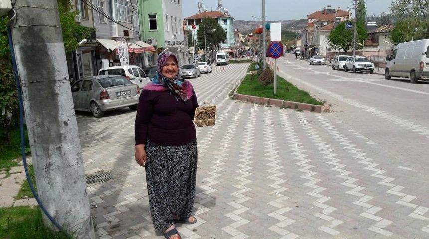 Yenipazar Dağlarında ’kuzugöbeği’ Mantarı Bereketi