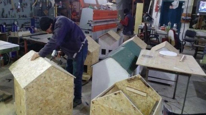 Sokak Kedileri İ&ccedil;in &ldquo;kedi Evi&rdquo;