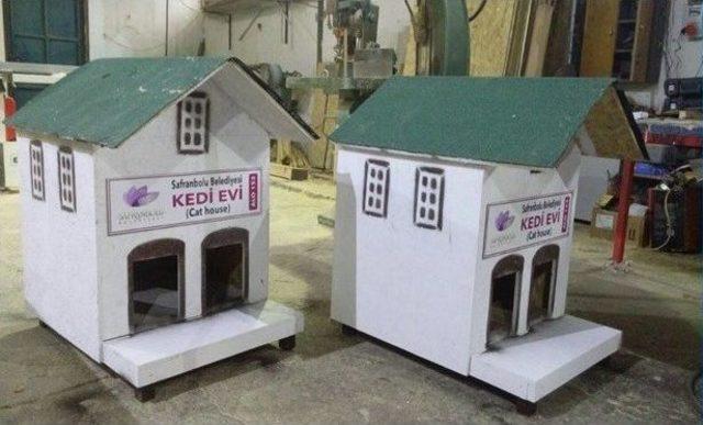 Sokak Kedileri İçin “kedi Evi”