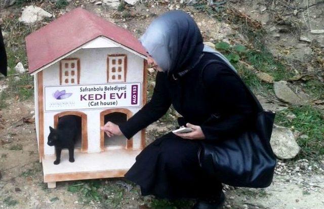 Sokak Kedileri İçin “kedi Evi”