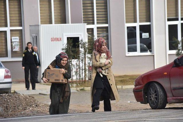 Öğrencilerden Sokak Hayvanlarına Duyarlı Davranış