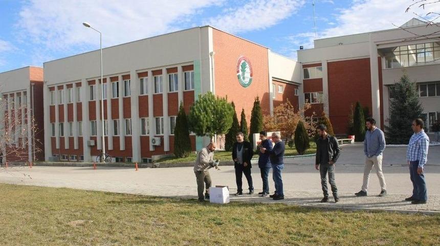 Kanadı Sıkışan Çakırkuşunu Ekolog Kurtardı