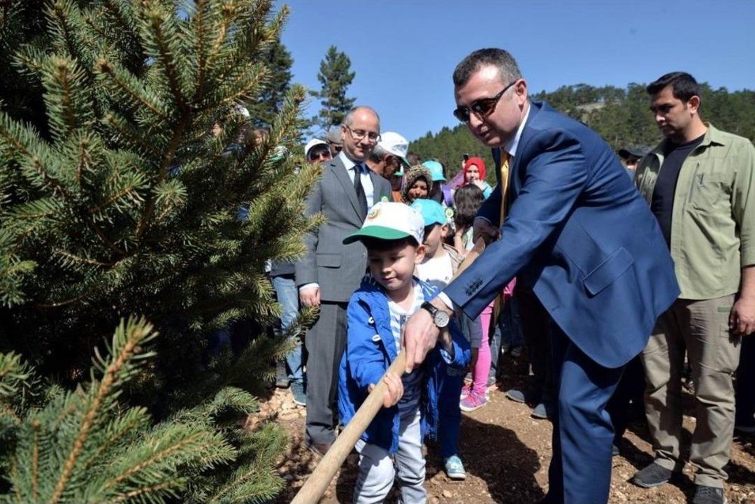 Yangında Zarar G&ouml;ren Sofular Yaylasına 50 Milyon Tohum Bırakıldı