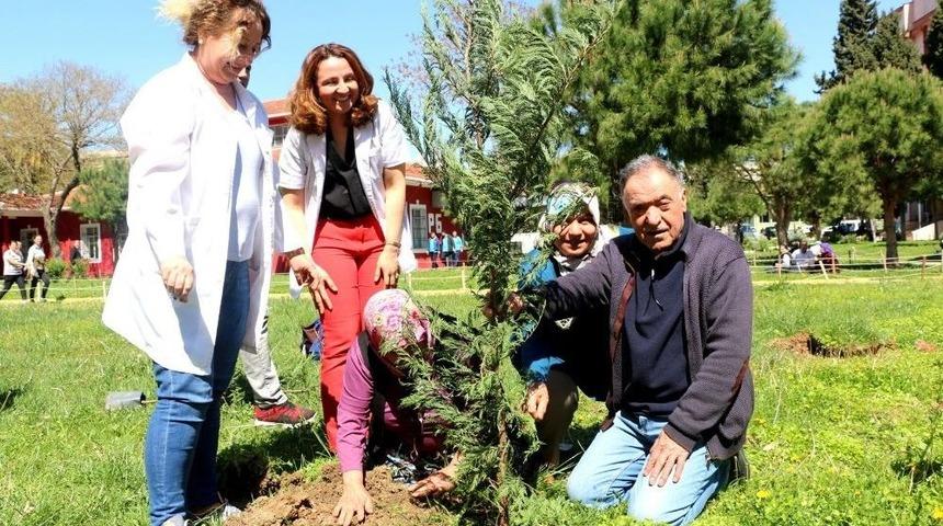 Kanseri Yendi, Hastane Bahçesine Çam Dikti