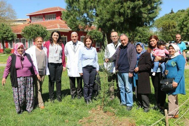 Kanseri Yendi, Hastane Bahçesine Çam Dikti