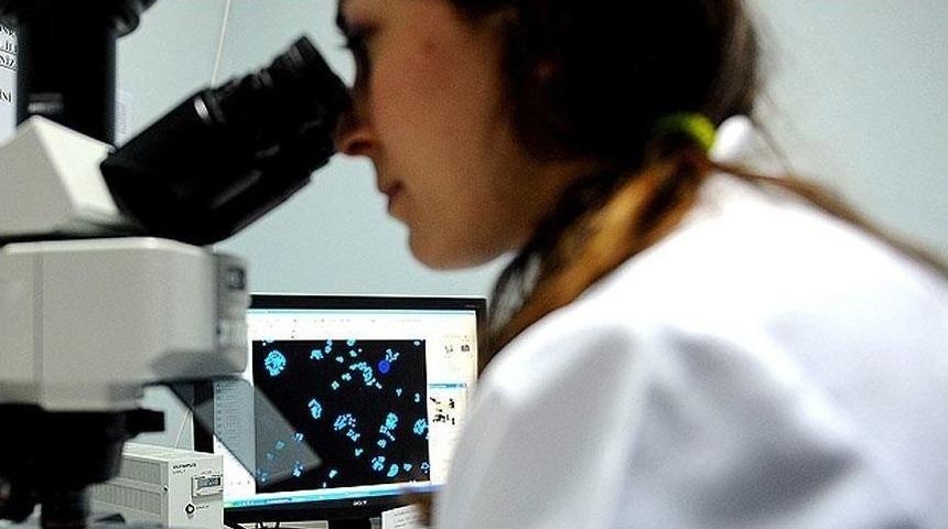 Sd&uuml;&rsquo;ye 32 Akademisyen Kadrosu A&ccedil;ıldı