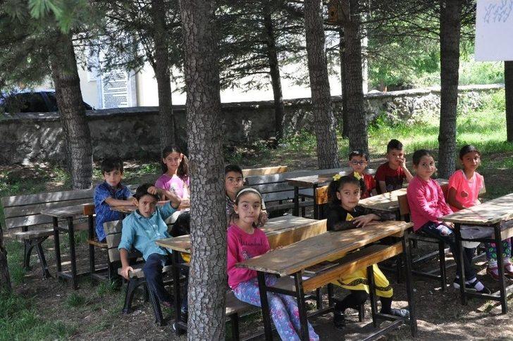 Oluşturdukları ’doğa Sınıfı’nda Karnelerini Aldılar G1