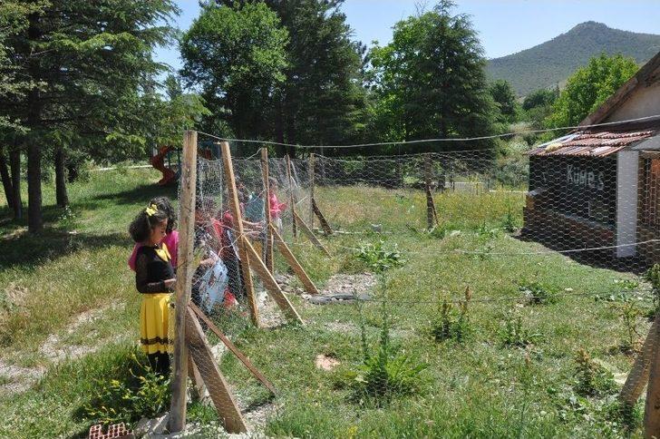 Oluşturdukları ’doğa Sınıfı’nda Karnelerini Aldılar G4