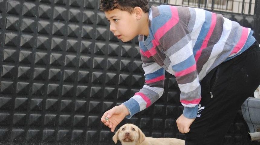 İnternetten Bıkan Çocuklar Doğal Yaşama Geri Döndü