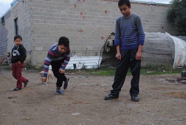 İnternetten Bıkan Çocuklar Doğal Yaşama Geri Döndü