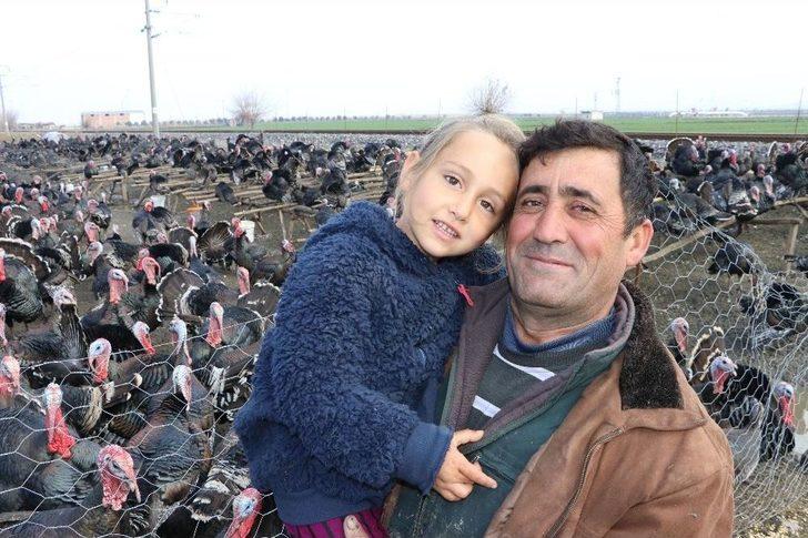 Kahramanmaraş’ta Yılbaşı Hindileri Hazır G4