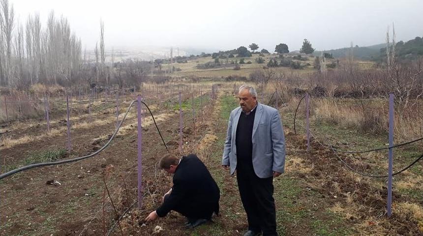 Eğirdir Köylerinde Alternatif Tarım
