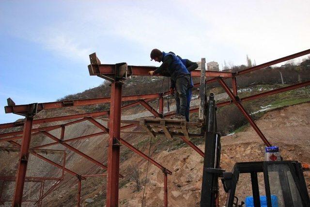 Artvin’e Hayvan Bakımevi Yapılıyor