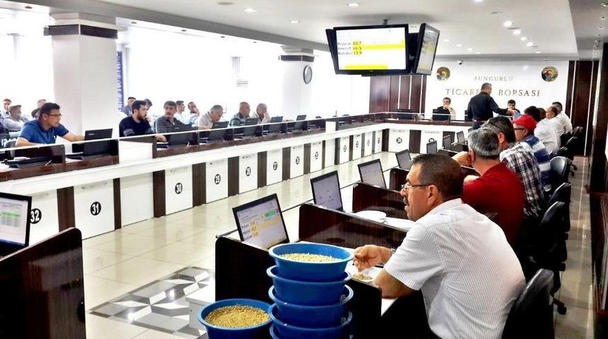 Sungurlu&rsquo;da Yılın İlk Buğdayı Satışa Sunuldu