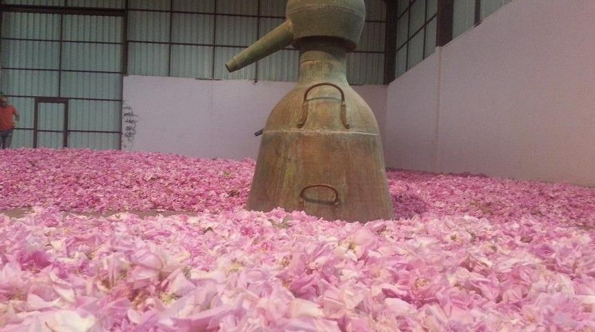 Sd&uuml;&rsquo;den Kozmetik Sekt&ouml;r&uuml;ne İla&ccedil; Gibi Gelecek Dev Proje