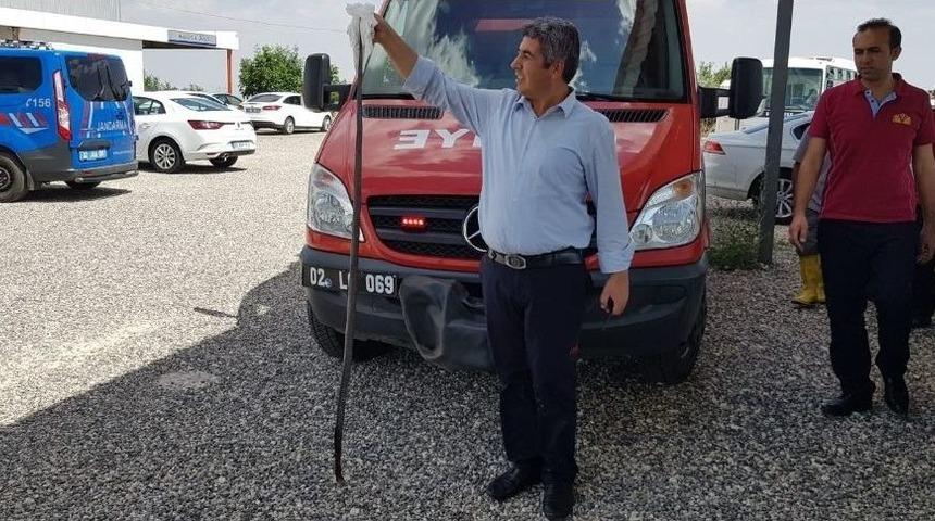 Yılanı İtfaiye Ekipleri Etkisiz Hale Getirdi