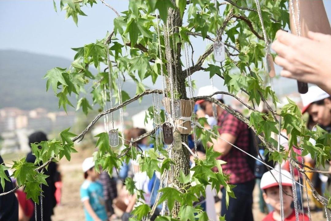 Her Şehit İ&ccedil;in Bir Fidan