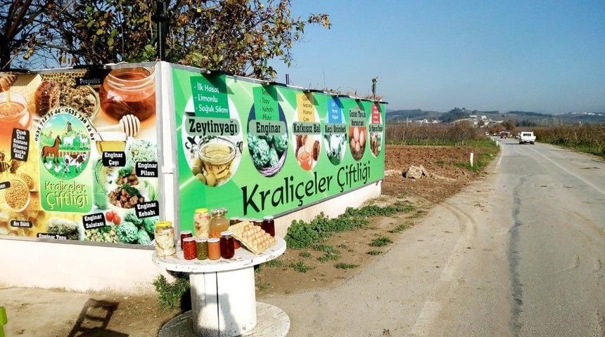 Enginarın Kralı &ldquo;krali&ccedil;eler &Ccedil;iftliği&rdquo;nde Yetişecek