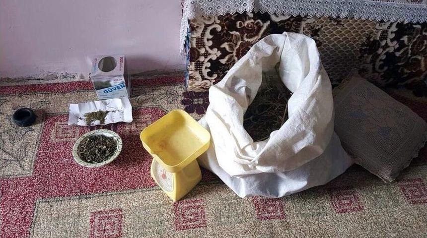 Polis Tezek Ve Saman Arasında Uyuşturucu Aradı