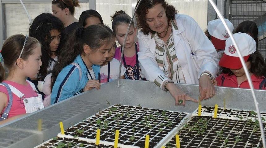 K&uuml;&ccedil;&uuml;k Bah&ccedil;ıvanlar İş Başında