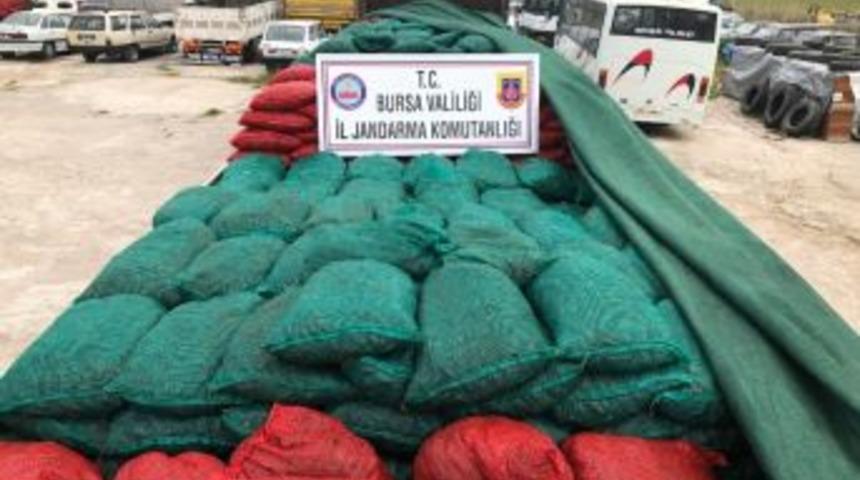Bursa&rsquo;da 30 Ton Ka&ccedil;ak Midye Ele Ge&ccedil;irildi