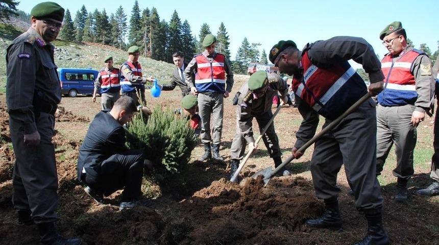 Jandarmadan Ağa&ccedil;landırma Seferberliğine Destek