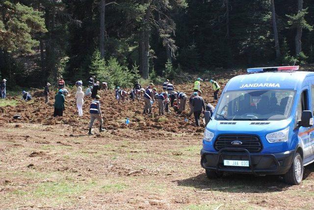 Jandarmadan Ağaçlandırma Seferberliğine Destek