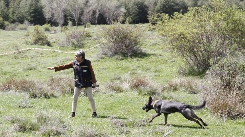 K&ouml;pekli Arama Timleri Afyonkarahisar&rsquo;da Yarıştı