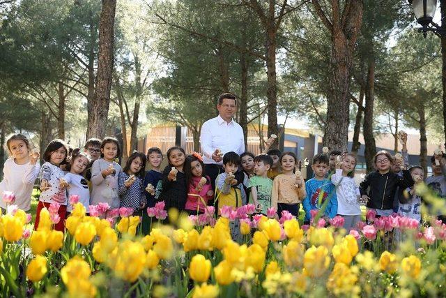 Geleneksel Oyunlar Hayat Buluyor