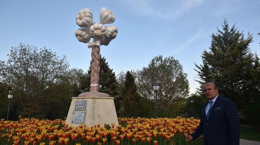 Taşk&ouml;pr&uuml;&rsquo;ye Dikilen 70 Bin Lale A&ccedil;tı