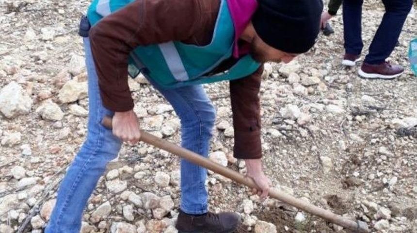 Denetimli Serbestlik Y&uuml;k&uuml;ml&uuml;leri Fidan Dikti