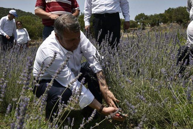 Yuntdağı’da Kırsal Kalkınma Desteği