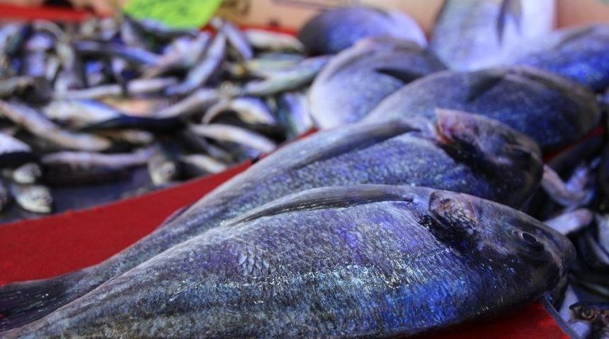 Av Sezonunun Son G&uuml;n&uuml;nde Tezgahlarda Yoğunluk