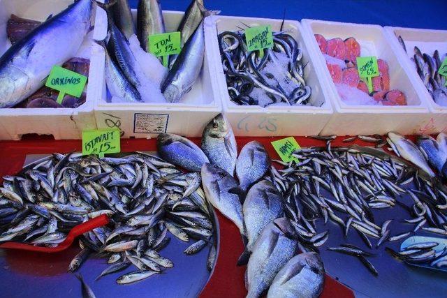 Av Sezonunun Son G&uuml;n&uuml;nde Tezgahlarda Yoğunluk 2