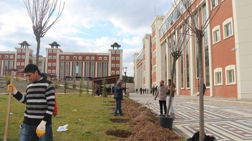 Kampus Ağa&ccedil;landırma &Ccedil;alışmaları Devam Ediyor