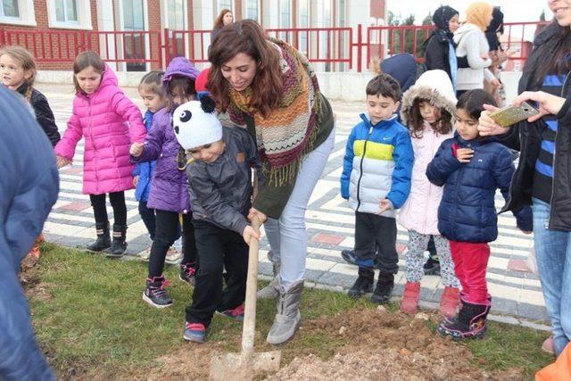 Kampus Ağaçlandırma Çalışmaları Devam Ediyor