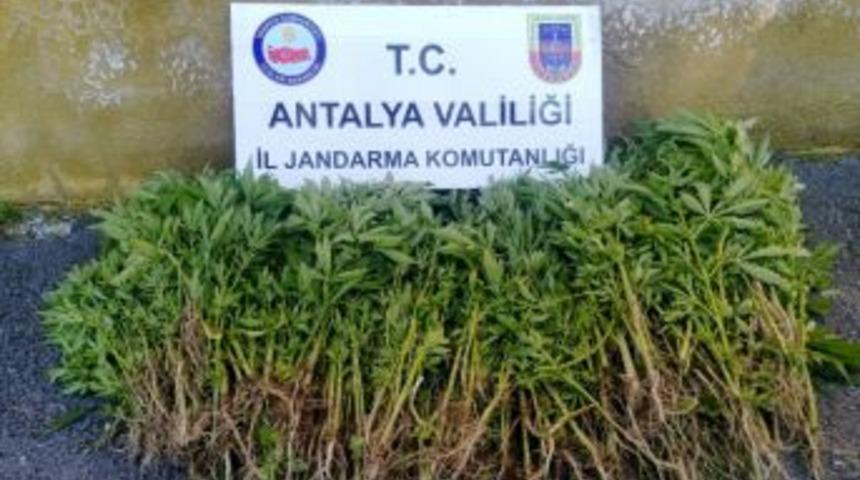 Antalya&rsquo;da Uyuşturucu Operasyonu