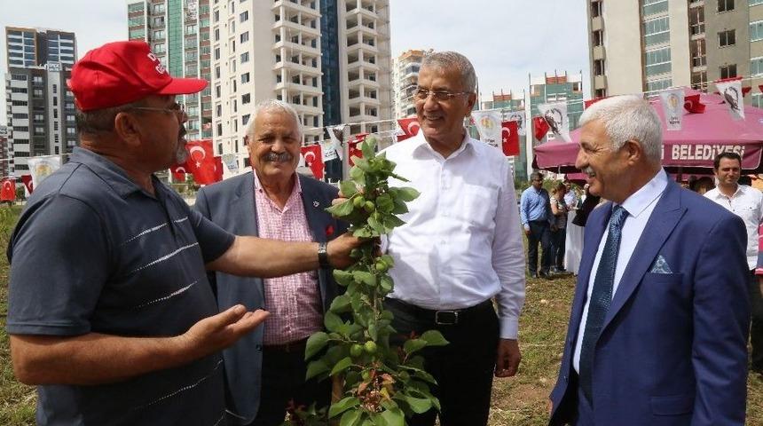 T&uuml;rkiye Emekliler Derneği Kayısı Koruluğu A&ccedil;ıldı