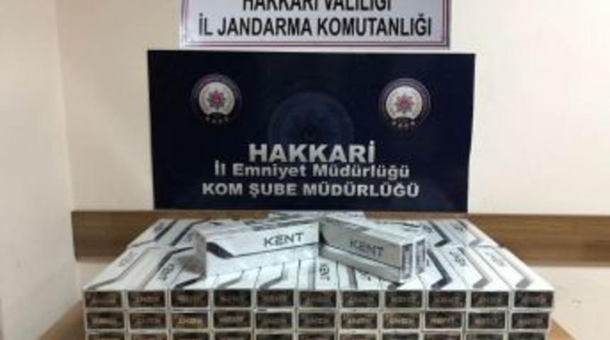 Hakkari’de Kaçakçılık Operasyonu