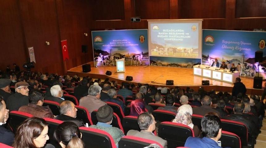Diyarbakır’da ‘buzağılarda Bakım Beslenme Ve Buzağı Hastalıkları’ Konferansı