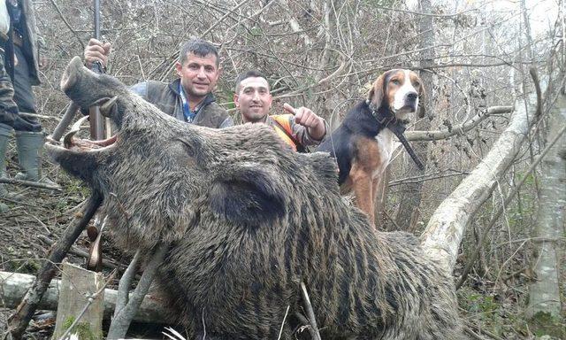 Köylünün Kokulu Rüyası Olmuştu