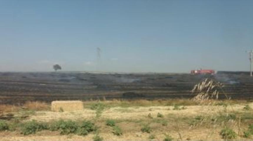 Yangın, 35 D&ouml;n&uuml;ml&uuml;k Alandaki Balyaları K&uuml;le &Ccedil;evirdi