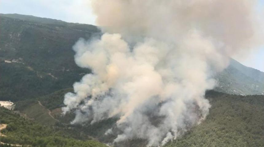 Hatay&rsquo;da Orman Yangını