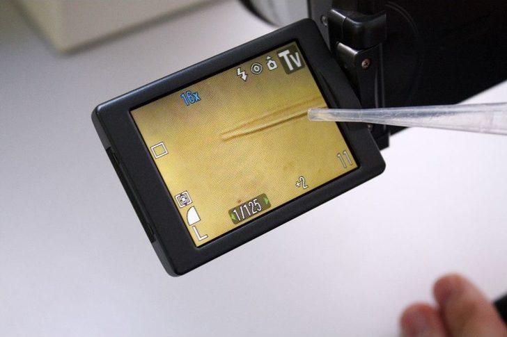 Mikro Canlılar Yapay Modelleri İle Görücüye Çıktı G2