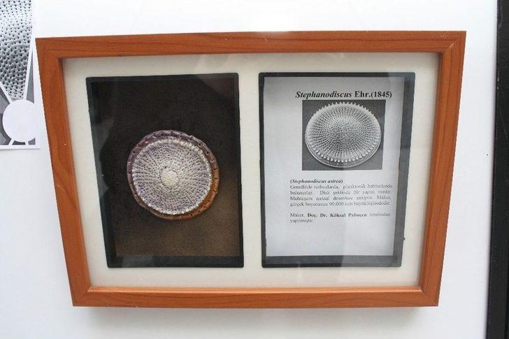 Mikro Canlılar Yapay Modelleri İle Görücüye Çıktı G3