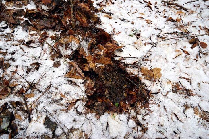 22 Gündür Kayıp Olan Aile Olayında Vücut Parçaları Ve Kan İzleri Bulundu G2