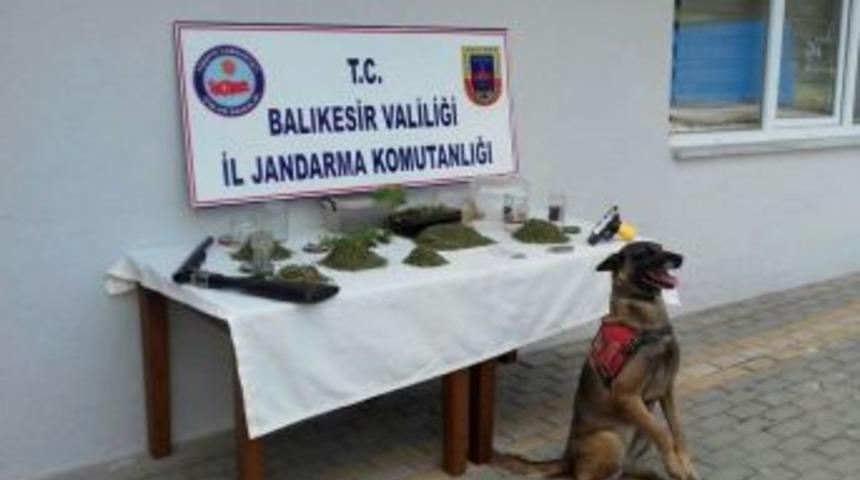 Jandarmadan Uyuşturucu Operasyonu