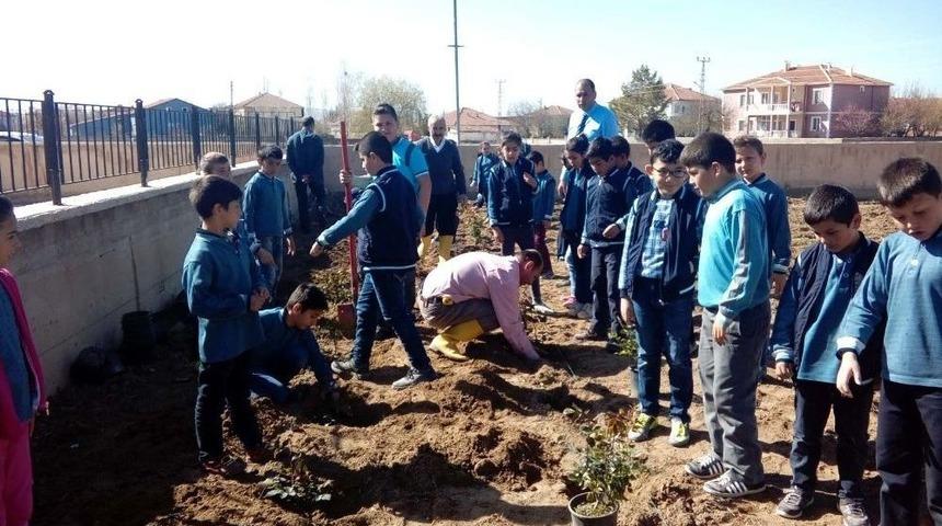 Boğazlıyan&rsquo;da &Ouml;ğrenciler Okul Bah&ccedil;esine G&uuml;l Dikti