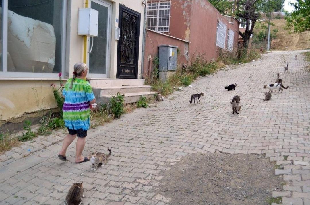 (&ouml;zel) Mahalleyi Hayvanat Bah&ccedil;esine, Evini Kliniğe &Ccedil;evirdi